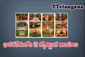 భారతదేశంలోని 12 జ్యోతిర్లింగ ఆలయాలు తప్పక చూడవలసిన శివాలయాలు