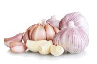 Garlic (6)ఈ ఆహారం తప్పకుండా తీసుకోండి మీరు ఎక్కువ కాలం జీవిస్తారు 