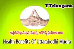 ఉత్తరబోధి ముద్ర యొక్క ఆరోగ్య ప్రయోజనాలు,Health Benefits Of Uttarabodhi Mudra