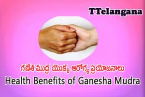 గణేశ ముద్ర యొక్క ఆరోగ్య ప్రయోజనాలు,Health Benefits of Ganesha Mudra