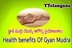 జ్ఞాన ముద్ర యొక్క ఆరోగ్య ప్రయోజనాలు,Health benefits Of Gyan Mudra