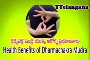 ధర్మచక్ర ముద్ర యొక్క ఆరోగ్య ప్రయోజనాలు,Health Benefits of Dharmachakra Mudra