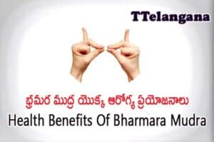 భ్రమర ముద్ర యొక్క ఆరోగ్య ప్రయోజనాలు ,Health Benefits Of Bharmara Mudra
