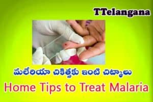 మలేరియా చికిత్సకు ఇంటి చిట్కాలు,Home Tips to Treat Malaria